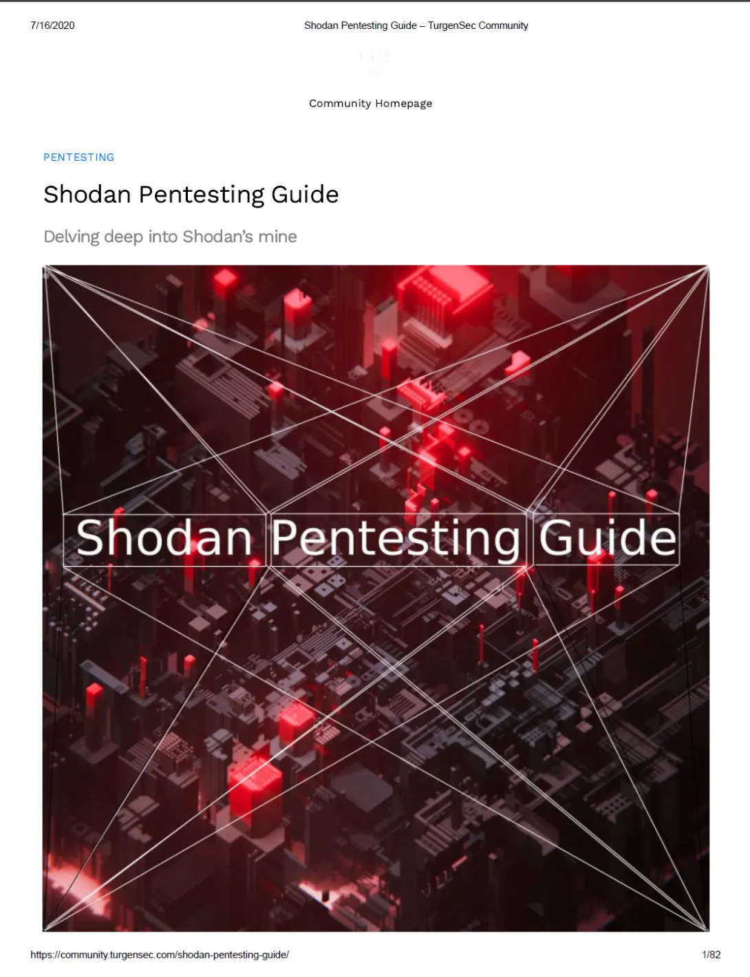 Shodan Pentesting Guide - TurgenSec Community